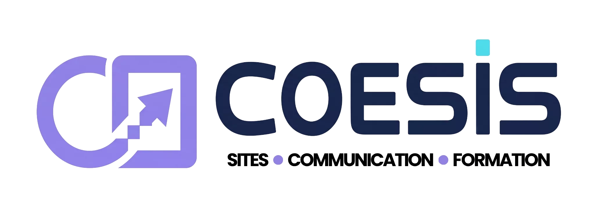 Logo COESIS